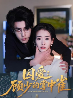 囚爱：顾少的掌中雀（70集）热门短剧来袭