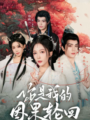 你是我的因果轮回（100集）热播短剧抢先看