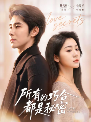 陆总夫人她只想离婚（80集）夸克在线观看