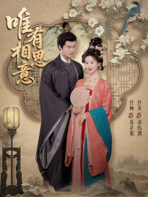 唯有相思意(100集) 唯有相思意(100集)全集免费看短剧