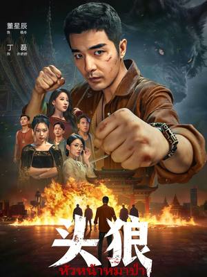 头狼(77集) 头狼(77集)热门短剧大全