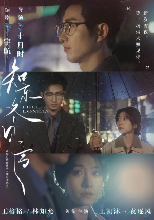 知京冬风雪（68集）好看的短剧电影