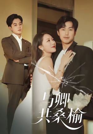 与卿共桑榆（63集）1-102集