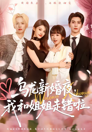 乌龙新婚夜，我和姐姐走错啦（59集）百度在线观看