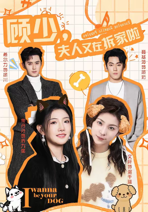 顾少,夫人又在拆家啦(78集) 顾少,夫人又在拆家啦(78集)短剧热播抢先看