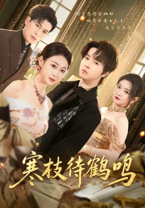 寒枝待鹤鸣（70集）好看短剧抢先看