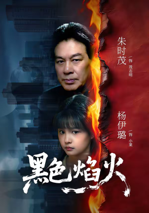 黑色焰火(41集) 黑色焰火(41集)海量资源免费看