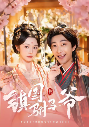 镇国驸马爷（92集）好看的短剧