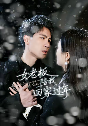 女老板陪我回家过年（40集）上热门短剧